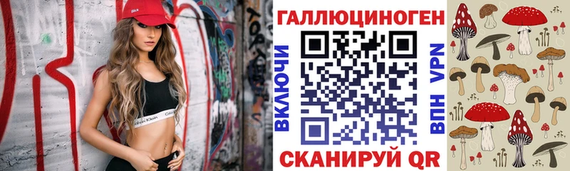Купить  Нытва  Галлюциногенные грибы Psilocybe 