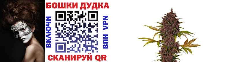 Каннабис VHQ  Купить закладки  Нытва 